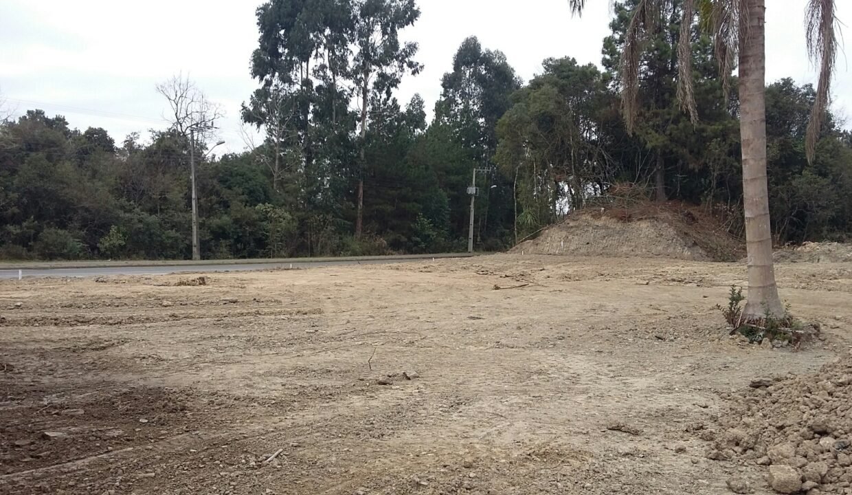 20170720_101651_resized